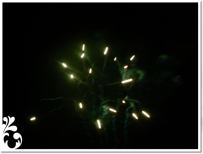Falunap_07_270