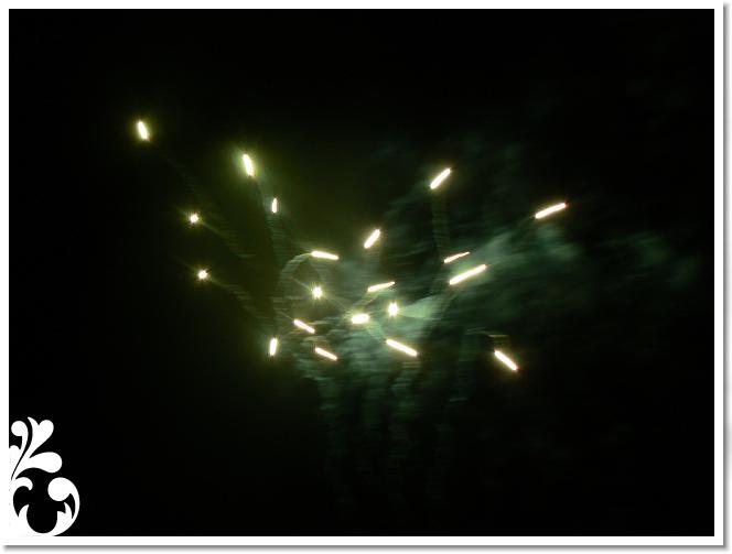 Falunap_07_272
