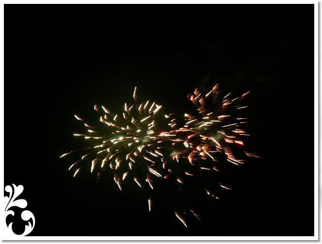 Falunap_07_273