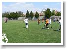 Falunap_07_047