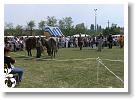 Falunap_07_068