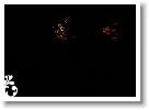 Falunap_07_246