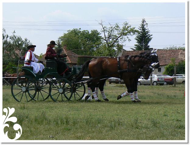 Fogathajto_2008_004