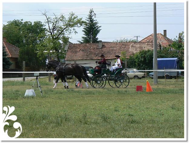 Fogathajto_2008_007