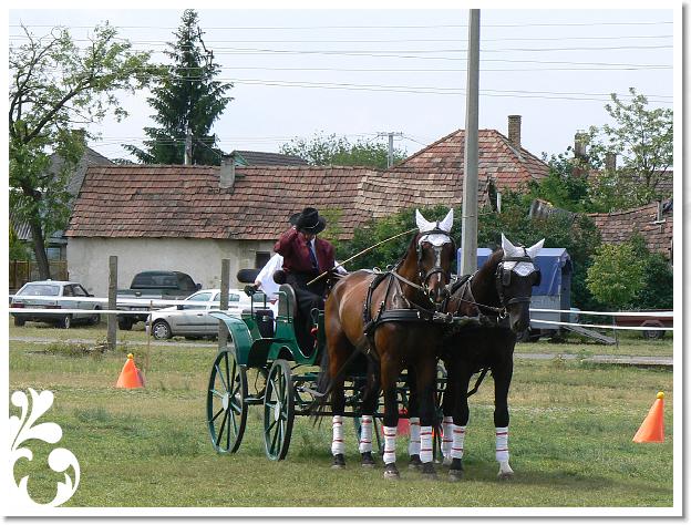 Fogathajto_2008_012