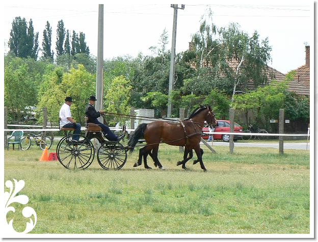 Fogathajto_2008_021