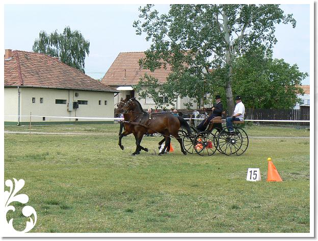 Fogathajto_2008_026