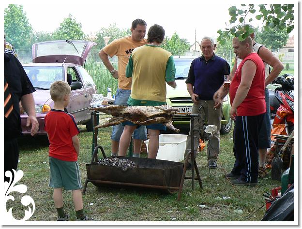 Fogathajto_2008_040