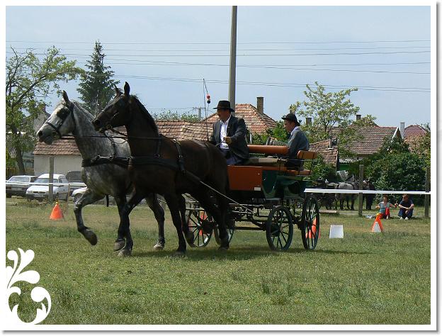 Fogathajto_2008_061