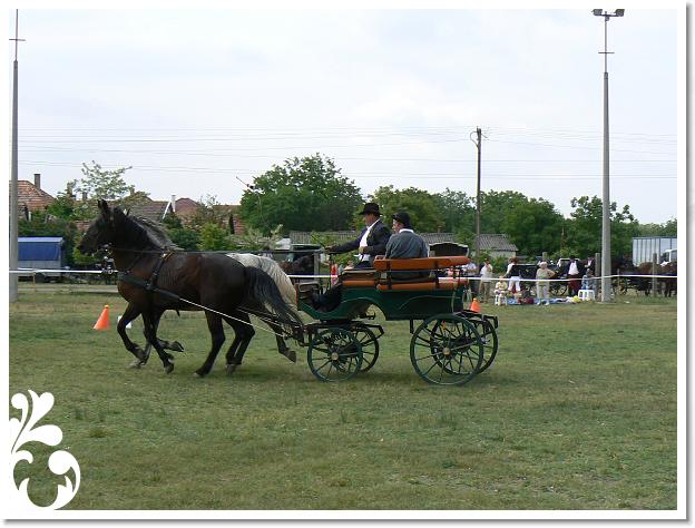 Fogathajto_2008_062