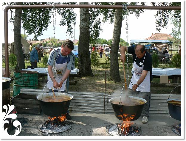 Fogathajto_2008_064