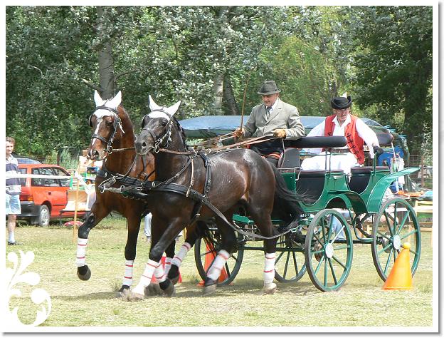 Fogathajto_2008_079