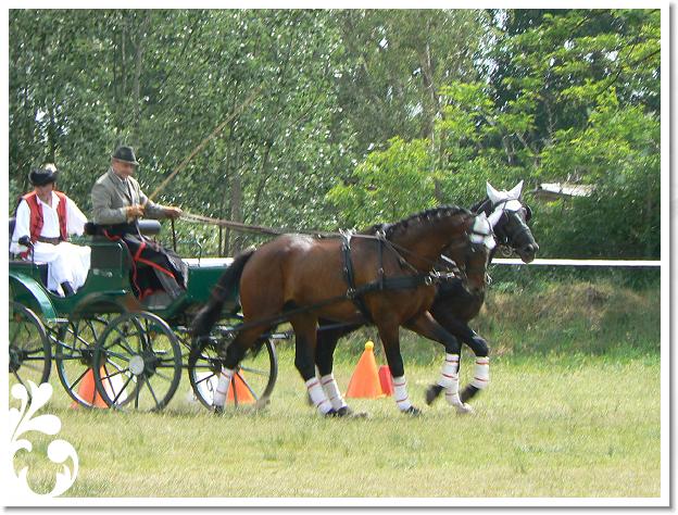 Fogathajto_2008_082