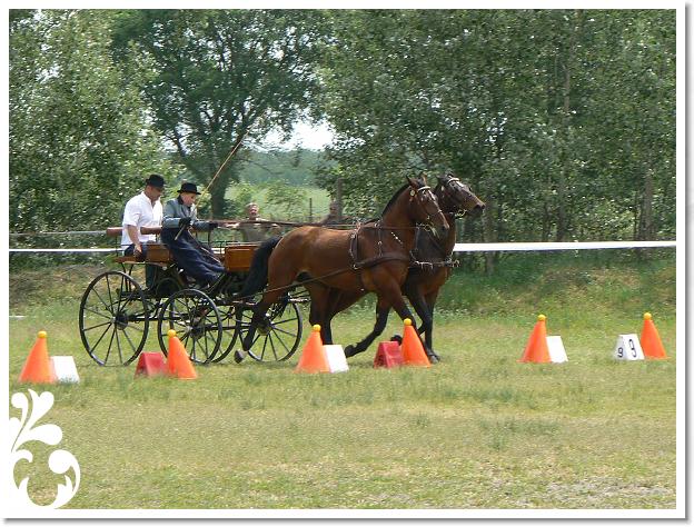 Fogathajto_2008_098
