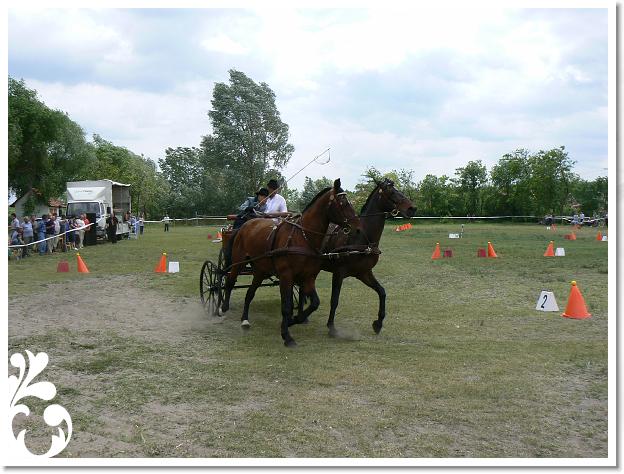 Fogathajto_2008_110