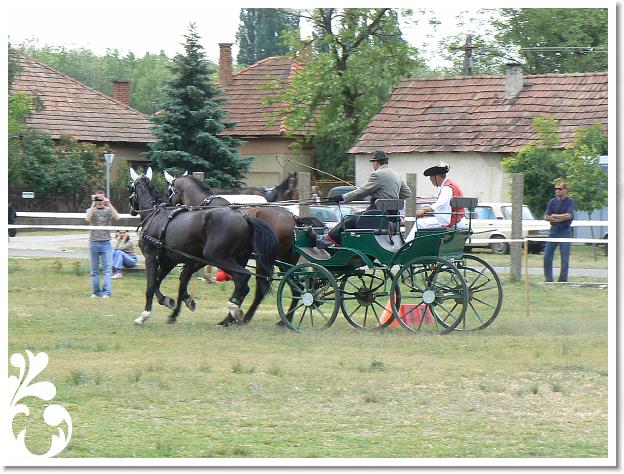 Fogathajto_2008_119