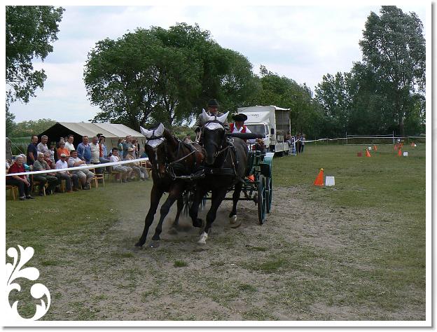 Fogathajto_2008_124
