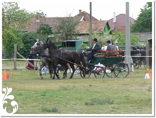 Fogathajto_2008_127