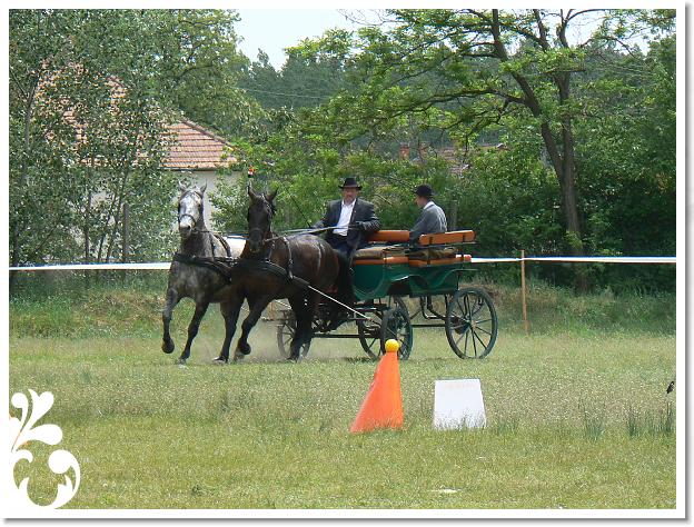 Fogathajto_2008_130
