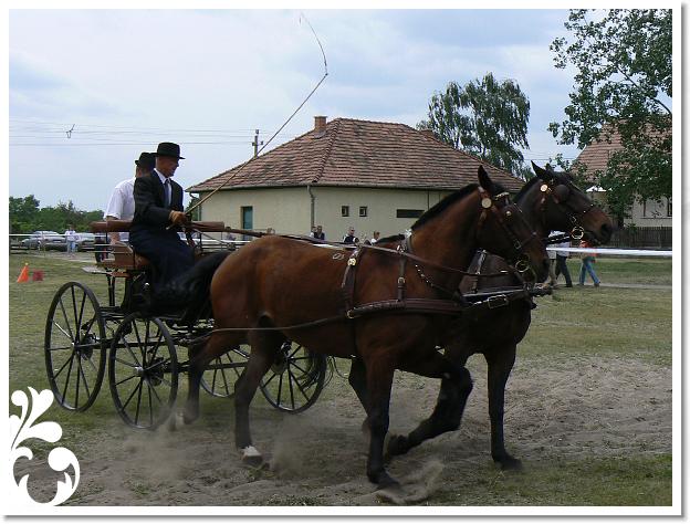 Fogathajto_2008_136