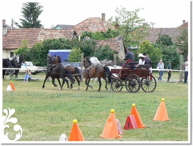 Fogathajto_2008_156