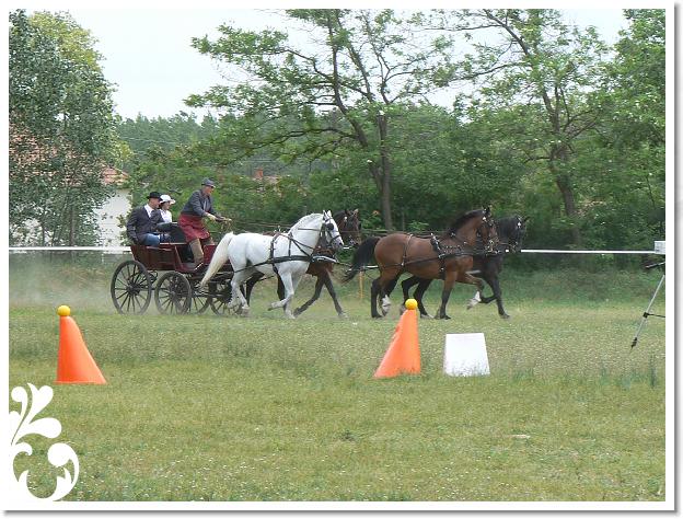 Fogathajto_2008_157