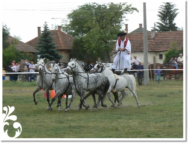 Fogathajto_2008_165