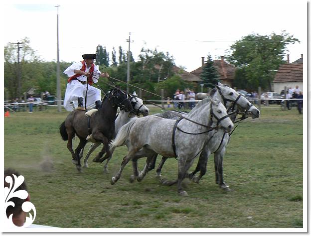 Fogathajto_2008_167