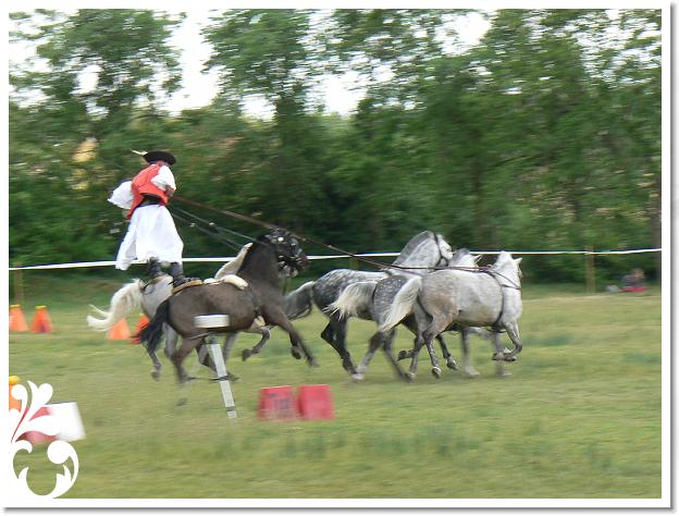 Fogathajto_2008_169