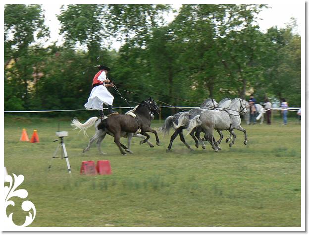 Fogathajto_2008_171
