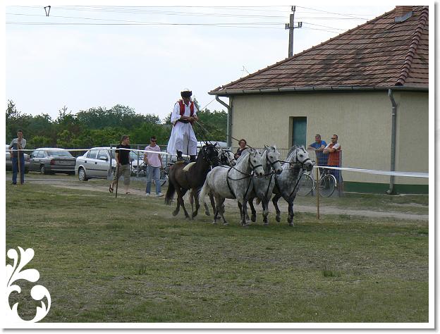 Fogathajto_2008_173
