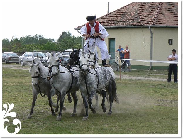 Fogathajto_2008_174