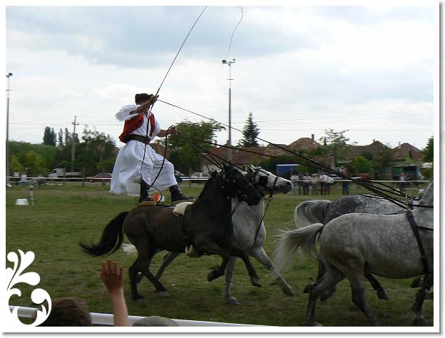 Fogathajto_2008_176