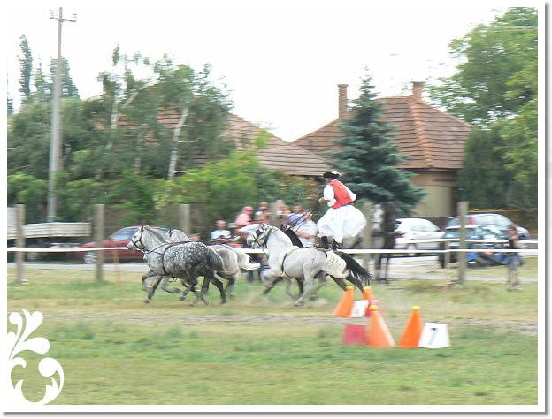 Fogathajto_2008_177