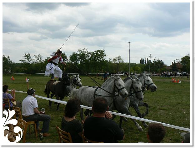 Fogathajto_2008_178