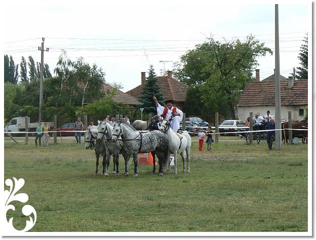 Fogathajto_2008_180