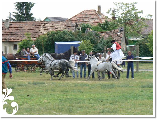 Fogathajto_2008_183