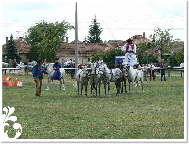 Fogathajto_2008_185
