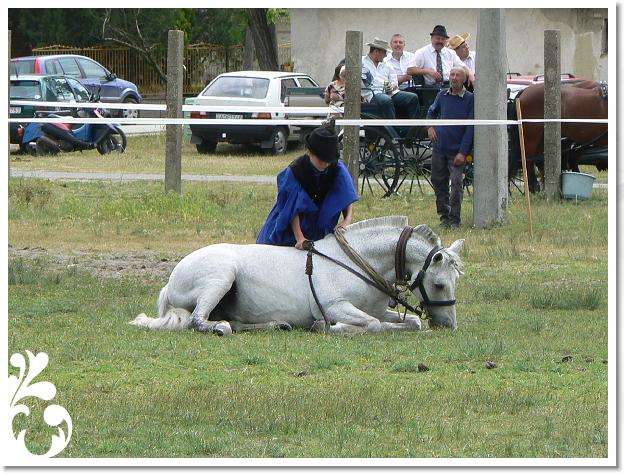 Fogathajto_2008_188