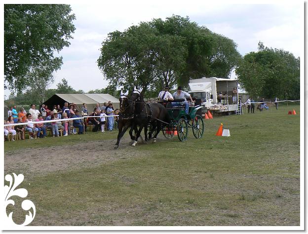 Fogathajto_2008_191