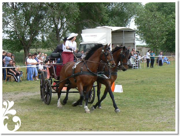 Fogathajto_2008_193