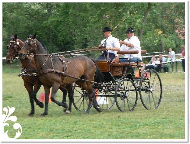 Fogathajto_2008_194