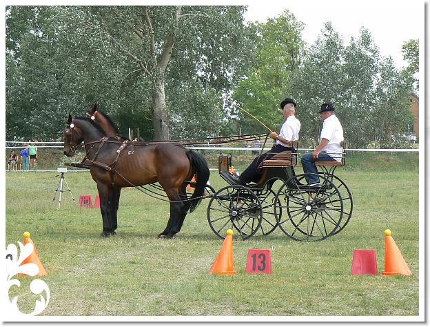 Fogathajto_2008_195