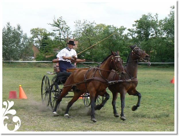 Fogathajto_2008_196