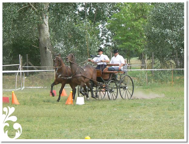 Fogathajto_2008_197
