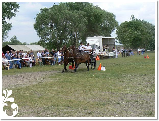 Fogathajto_2008_198