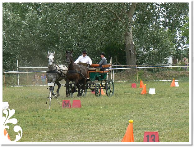 Fogathajto_2008_201