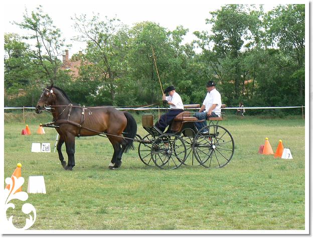 Fogathajto_2008_207