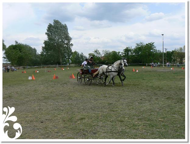 Fogathajto_2008_213