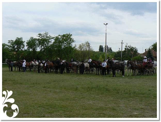 Fogathajto_2008_218
